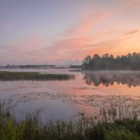 **** :: Елизавета .