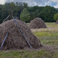 Сенокос :: Aleksey Afonin