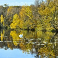 В объятьях осени :: Галина Шеина-Мюльдорфер