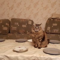 В ожидании гостей. :: Владимир Волик