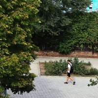 Быстрее :: Юрий Гайворонскiий