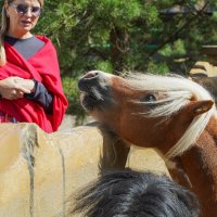 НУ_И_ :: Сергей Янович Микк