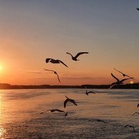 Закат :: Михаил Свиденцов