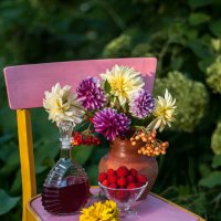 На даче. :: Анатолий Нецепляев