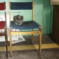 Всегда на посту. :: Вячеслав. Синицын