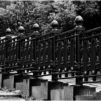 13 :: Василий Палий