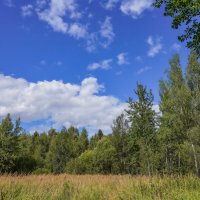 Палитра августа... :: Владимир Жданов Палитра августа... :: Владимир Жданов