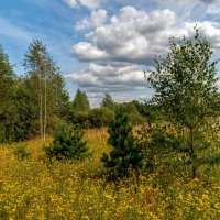 Середина Августа 2 :: Андрей Дворников