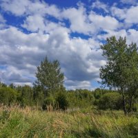 Под небом августа... :: Владимир Жданов Под небом августа... :: Владимир Жданов