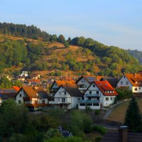 Утро в деревне :: Юрий. Шмаков