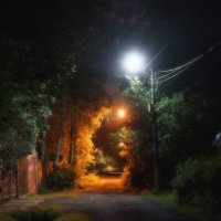 *** :: Леонид leo