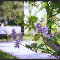 Архивное №1 :: emaslenova 