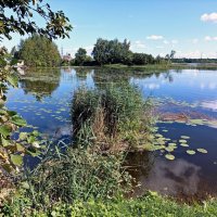 У Нарвского водохранилища :: Veera V