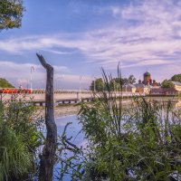 С корягой :: Сергей Цветков