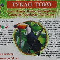 РОД :: Сергей Янович Микк