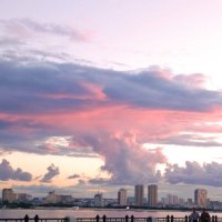 Над Амуром тучи ходят хмуро.... :: Елена Пивоварова