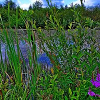 Где-то за городом... :: Vladimir Semenchukov