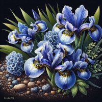 Ирисы :: Freddy 97