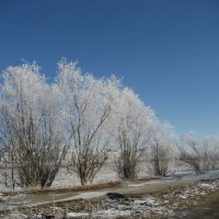 Утро :: Anna Ivanova