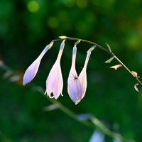 * :: Вадим * :: Вадим