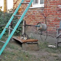 Вот моя деревня. :: Венера Чуйкова