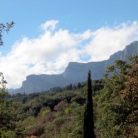 Крым :: Ольга 