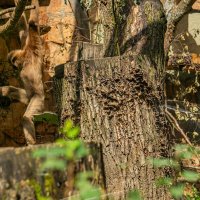 Физкультура :: Ирина Соловьёва