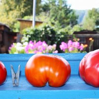 Три богатыря :: Василий Три богатыря :: Василий