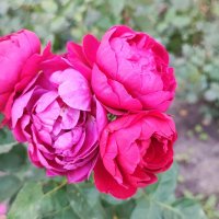 ,,, :: Сергей Тимоновский