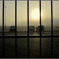 утро.. :: Aleksandr Gal