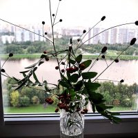 Сегодняшнее утро началось с дождика,,, :: Анатолий Колосов