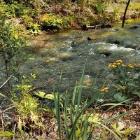 Маленький перекат большого ручья :: Людмила Фил