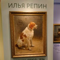 На выставке "Жизнь замечательных собак" :: Ирэн 