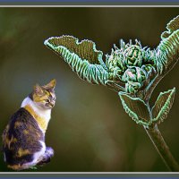 Композиция с кошечкой :: Владимир Кроливец
