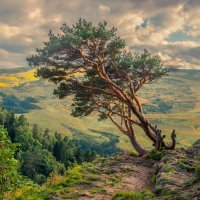 *** :: Аnatoly Gaponenko