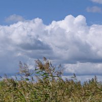 Август и облака. :: сергей ермошкин