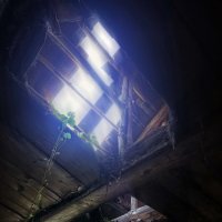 Жизнь :: sorovey Sol