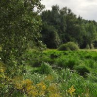 *** :: Леонид leo