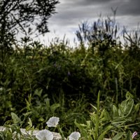 Старая скамейка ;-) :: Алексей Пышненко