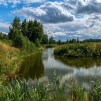 Вторая половина Августа 3 :: Андрей Дворников