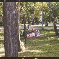 Пикник, малышей. :: Игорь Солдаткин