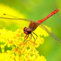 из снятого сегодня 7 :: Александр Прокудин