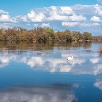 Безмятежная гладь воды :: Светлана Ищенко