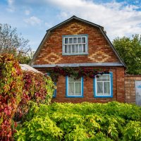 Лето :: Петр 