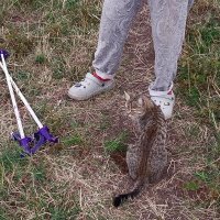 Talgar. :: Murat Bukaev 