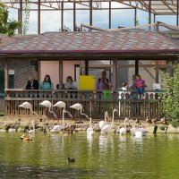 У_ВОДЫ_ПРИЯТНО :: Сергей Янович Микк У_ВОДЫ_ПРИЯТНО :: Сергей Янович Микк