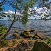 Вид на озеро :: Vladimbormotov