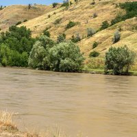 Река Кубань :: Игорь Сикорский