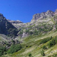 Ходят кони к водопою :: Андрей Любимов