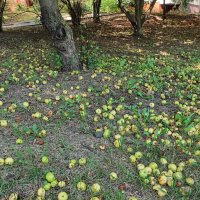 ,,, :: Сергей Тимоновский ,,, :: Сергей Тимоновский